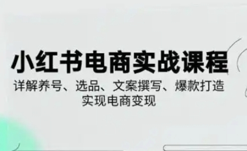 小红书从0-1实操课(2023-2025)，详解养号、选品、文案撰写、爆款打造实现电商变现-OPCmate