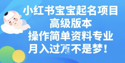 小红书宝宝起名项目高级版本，操作简单，资料专业，月入过W-OPCmate