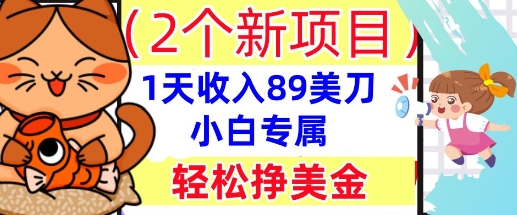 2个新项目,轻松挣美金, 1天收入89美刀,小白专属,干货分享-OPCmate