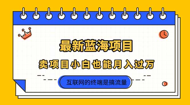 （14289期）2025年最新蓝海项目，卖项目小白也能月入过万-OPCmate