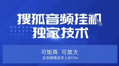 【搜狐音频挂G】独家技术，可矩阵可放大，红利期稳定月入8k【揭秘】-OPCmate