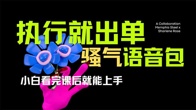 （14170期）爆火全网的开车导航骚气语音包,只要执行就出单，小白看完课程就能实操...-OPCmate