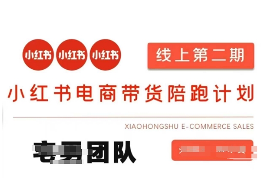 小红书电商带货课2期，月利润20个的小红书电商的有货源，无货源，虚拟产品，付费投流等整套玩法-OPCmate