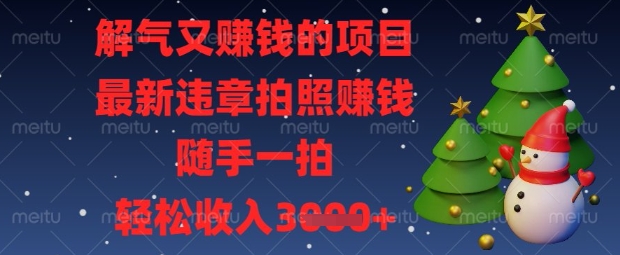 解气又挣钱的项目，最新违章拍照挣钱，随手一拍，轻松收入数张【揭秘】-OPCmate